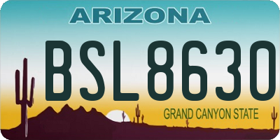 AZ license plate BSL8630