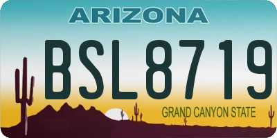 AZ license plate BSL8719