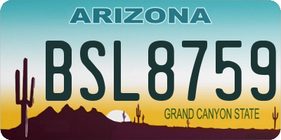 AZ license plate BSL8759