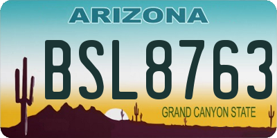 AZ license plate BSL8763