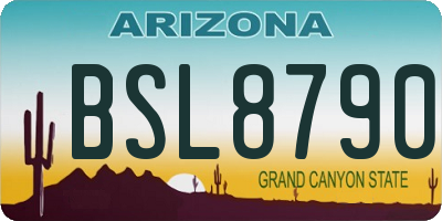 AZ license plate BSL8790