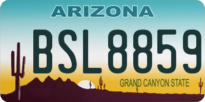 AZ license plate BSL8859