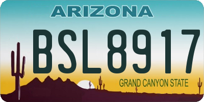 AZ license plate BSL8917