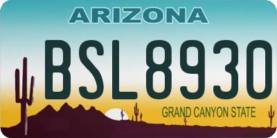 AZ license plate BSL8930