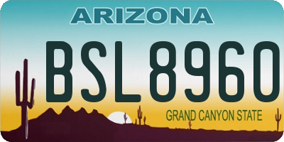 AZ license plate BSL8960