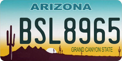 AZ license plate BSL8965