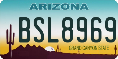 AZ license plate BSL8969