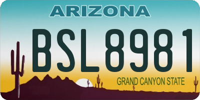 AZ license plate BSL8981