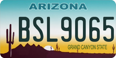 AZ license plate BSL9065