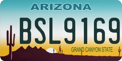 AZ license plate BSL9169