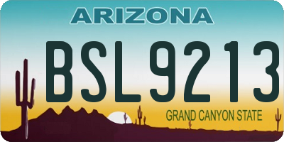 AZ license plate BSL9213