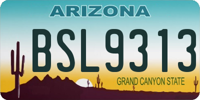 AZ license plate BSL9313