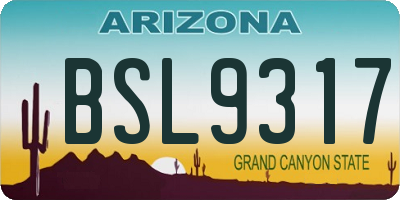 AZ license plate BSL9317