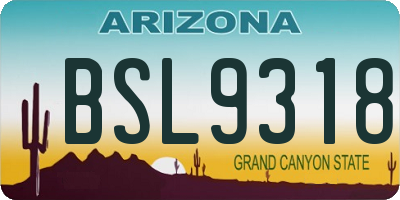 AZ license plate BSL9318