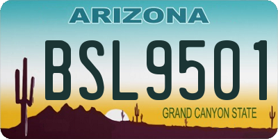 AZ license plate BSL9501