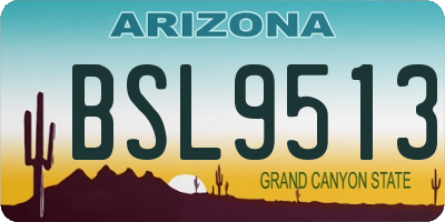 AZ license plate BSL9513