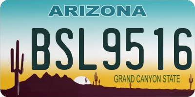 AZ license plate BSL9516