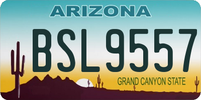 AZ license plate BSL9557