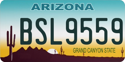 AZ license plate BSL9559