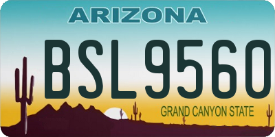 AZ license plate BSL9560