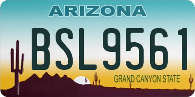 AZ license plate BSL9561