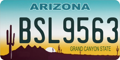 AZ license plate BSL9563