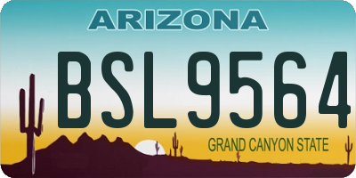 AZ license plate BSL9564