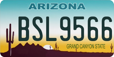 AZ license plate BSL9566
