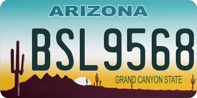 AZ license plate BSL9568