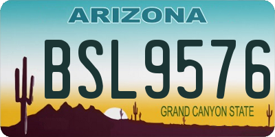 AZ license plate BSL9576