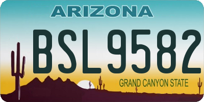 AZ license plate BSL9582