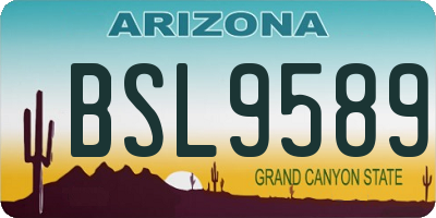 AZ license plate BSL9589