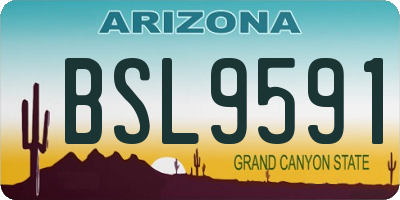 AZ license plate BSL9591