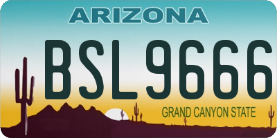 AZ license plate BSL9666