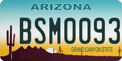 AZ license plate BSM0093
