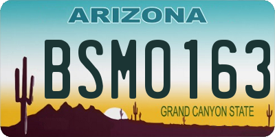AZ license plate BSM0163
