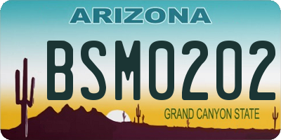 AZ license plate BSM0202