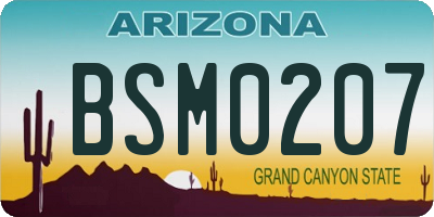 AZ license plate BSM0207