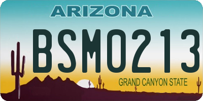 AZ license plate BSM0213