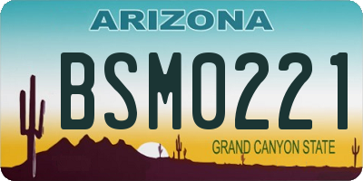 AZ license plate BSM0221