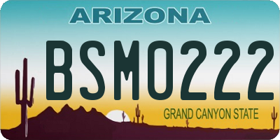 AZ license plate BSM0222