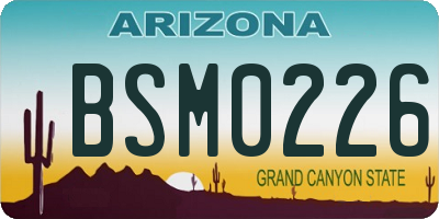 AZ license plate BSM0226