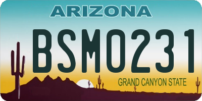 AZ license plate BSM0231