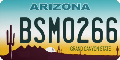 AZ license plate BSM0266