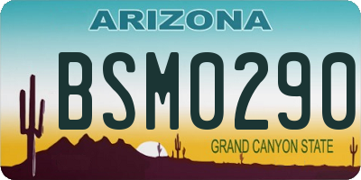 AZ license plate BSM0290