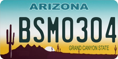 AZ license plate BSM0304