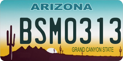 AZ license plate BSM0313