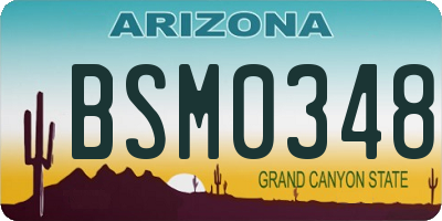 AZ license plate BSM0348