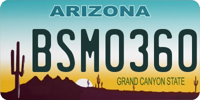 AZ license plate BSM0360