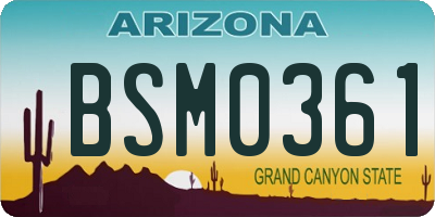 AZ license plate BSM0361